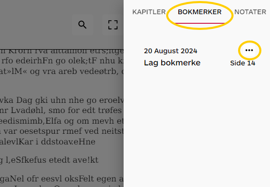 Skjermbilde 2024-08-20 134405_webleser4.png