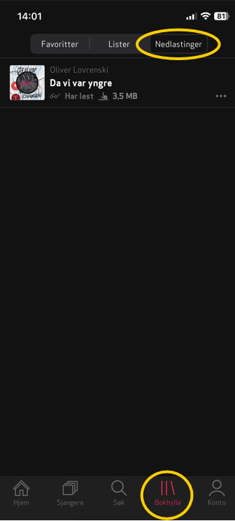 _nadlastinger.png